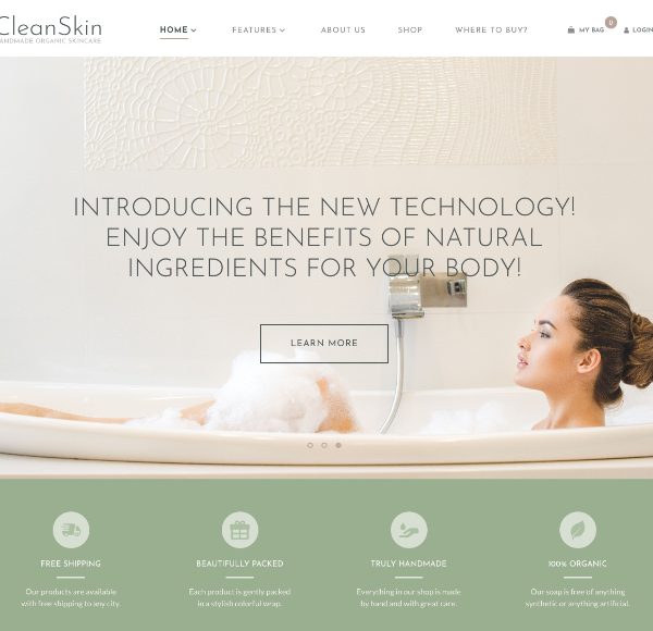 CleanSkin шаблон для интернет-магазина